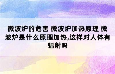 微波炉的危害 微波炉加热原理 微波炉是什么原理加热,这样对人体有辐射吗